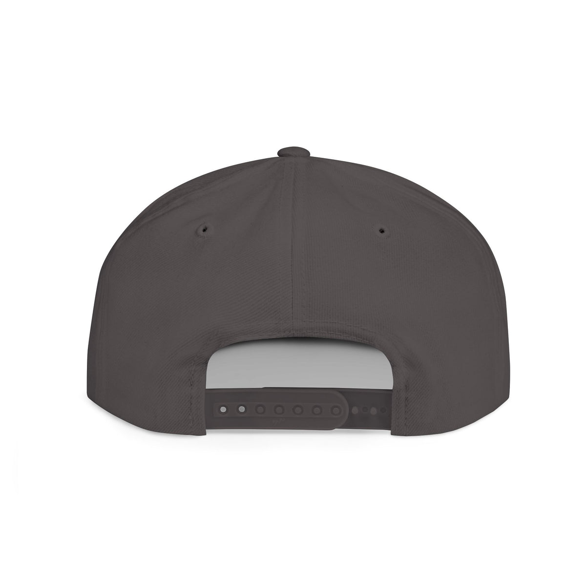 USA 250 Hat