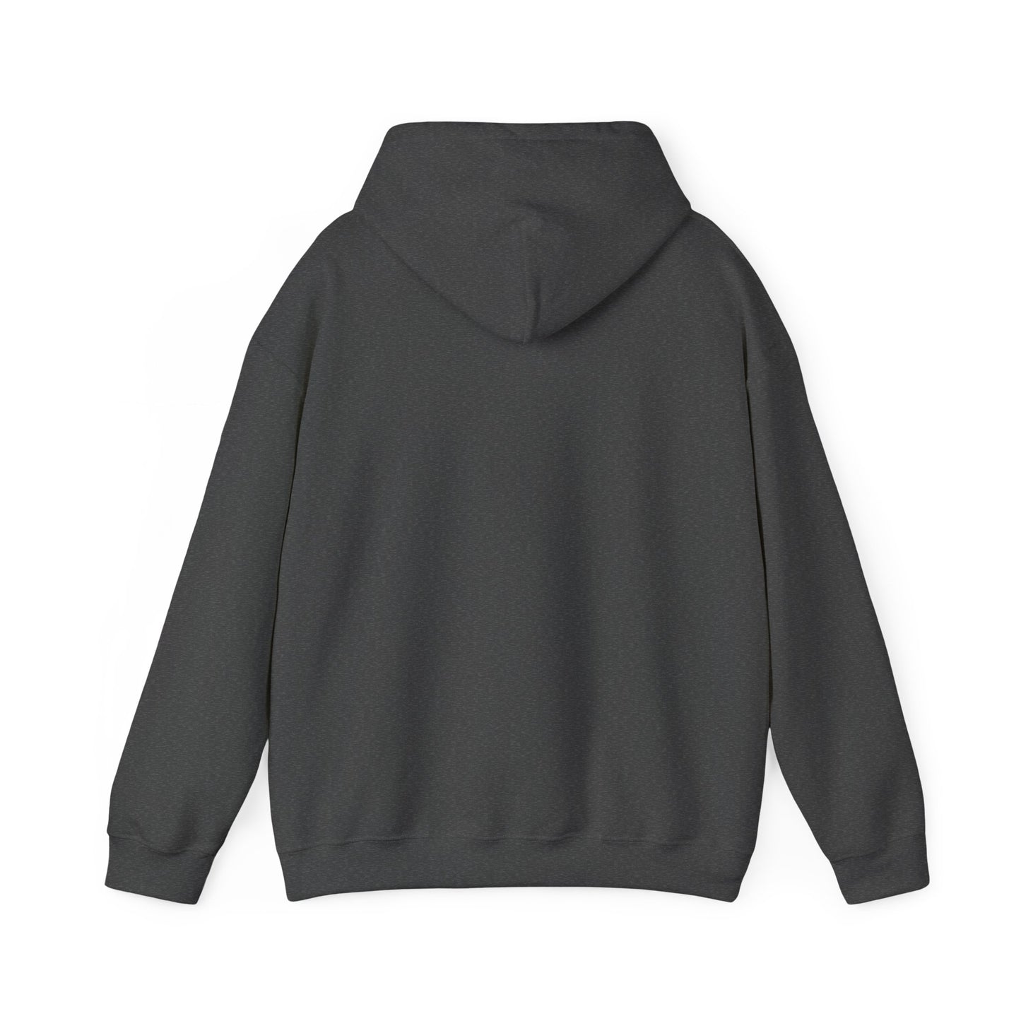 Boats & Hoes Hoodie