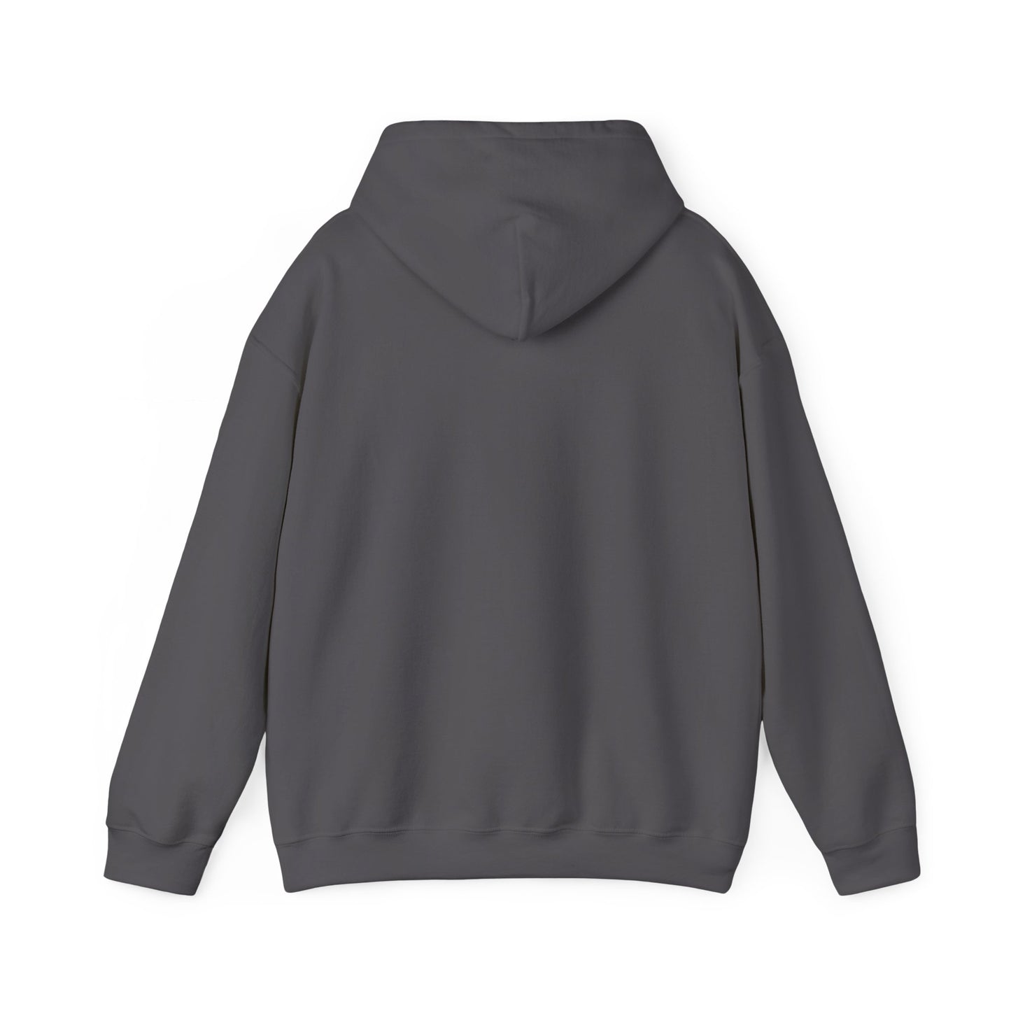 Boats & Hoes Hoodie